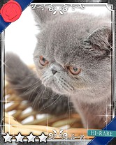 ���������꡼ No.014�Υ���ͥ������ / �֤ˤ�󥳥�פ�GREE���ۿ����ץ������Ƥ����¼̤���ǭ�����ɤ�160��ʾ�