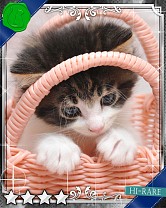 ���������꡼ No.016�Υ���ͥ������ / �֤ˤ�󥳥�פ�GREE���ۿ����ץ������Ƥ����¼̤���ǭ�����ɤ�160��ʾ�