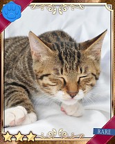 ���������꡼ No.018�Υ���ͥ������ / �֤ˤ�󥳥�פ�GREE���ۿ����ץ������Ƥ����¼̤���ǭ�����ɤ�160��ʾ�