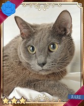 ���������꡼ No.019�Υ���ͥ������ / �֤ˤ�󥳥�פ�GREE���ۿ����ץ������Ƥ����¼̤���ǭ�����ɤ�160��ʾ�