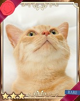 ���������꡼ No.020�Υ���ͥ������ / �֤ˤ�󥳥�פ�GREE���ۿ����ץ������Ƥ����¼̤���ǭ�����ɤ�160��ʾ�