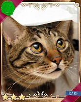 ���������꡼ No.021�Υ���ͥ������ / �֤ˤ�󥳥�פ�GREE���ۿ����ץ������Ƥ����¼̤���ǭ�����ɤ�160��ʾ�