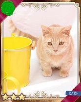 ���������꡼ No.022�Υ���ͥ������ / �֤ˤ�󥳥�פ�GREE���ۿ����ץ������Ƥ����¼̤���ǭ�����ɤ�160��ʾ�