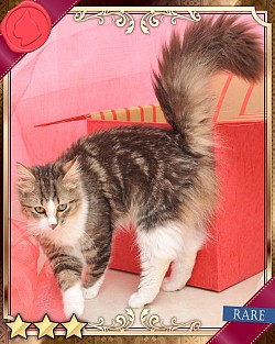 ���������꡼ No.023�Υ���ͥ������ / �֤ˤ�󥳥�פ�GREE���ۿ����ץ������Ƥ����¼̤���ǭ�����ɤ�160��ʾ�