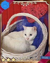 ���������꡼ No.029�Υ���ͥ������ / �֤ˤ�󥳥�פ�GREE���ۿ����ץ������Ƥ����¼̤���ǭ�����ɤ�160��ʾ�