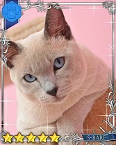 ���������꡼ No.034�Υ���ͥ������ / �֤ˤ�󥳥�פ�GREE���ۿ����ץ������Ƥ����¼̤���ǭ�����ɤ�160��ʾ�