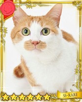 ���������꡼ No.035�Υ���ͥ������ / �֤ˤ�󥳥�פ�GREE���ۿ����ץ������Ƥ����¼̤���ǭ�����ɤ�160��ʾ�