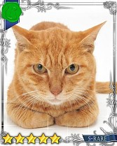 ���������꡼ No.036�Υ���ͥ������ / �֤ˤ�󥳥�פ�GREE���ۿ����ץ������Ƥ����¼̤���ǭ�����ɤ�160��ʾ�