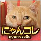 �ѥå�����