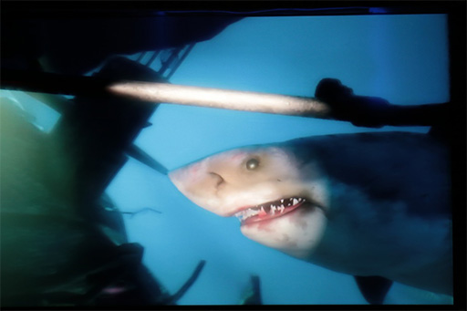 ꡼ No.014 | GDC 2015ϡCrescent BayפȿProject MorpheusפθȤϽʬѥ٥ãƤ