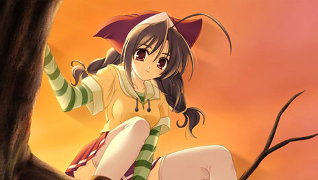 ꡼ No.005 | PS Vitaѥեȡŷ᤭ξפ1220ȯ䡣ٲ줿եåȶʪڤ⤦