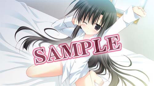 ���������꡼ No.008�Υ���ͥ������ / �ֳء��� -THE ROYAL SEVEN STARS- +METEOR�פ�ͽ����ŵ��Ź����ͽ����ŵ��17���ब��������