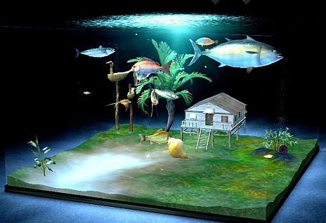 ꡼ No.010Υͥ / Fish Hunt 졪סֶܹ/ϸСʻ/ʸ()/ˡפˡꥦൡǽ