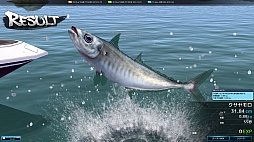 ꡼ No.011Υͥ / 饤ꥲFish Hunt 졪פθڤ򤵤ȶḥ̂廊