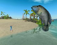 ꡼ No.023 | Fish Hunt !泤ˡ֥쥿ס֥ǥǥפɲ