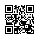 ꡼ No.005Υͥ / SLG֥³ϥߥåθǡפGREEǥӥ