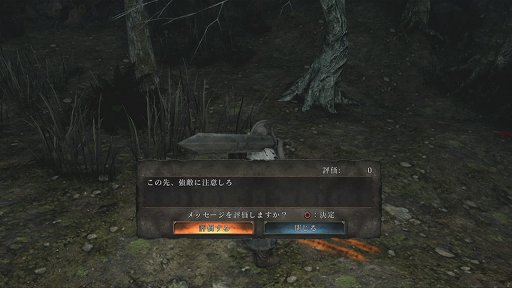 画像ギャラリー No.003のサムネイル画像 / 「DARK SOULS II」のPS3版ネットワークテストが9月23日より全3回実施。エントリー開始は9月5日
