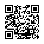 ꡼ No.020Υͥ / ֹϡΥפGREEۿ13ιǾŷܻؤ