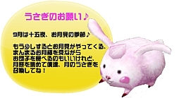 ꡼ No.004Υͥ / ֥󥿥ƥסLV30ʲоݤν鿴Ա祭ڡ򳫺