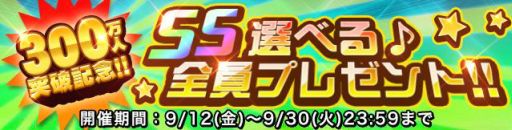 ꡼ No.003 | ֥ɥ饴ݡ3004祭ڡ󳫺š20󥳥