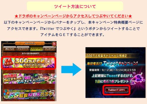 ꡼ No.006 | ֥ɥ饴ݡ3004祭ڡ󳫺š20󥳥