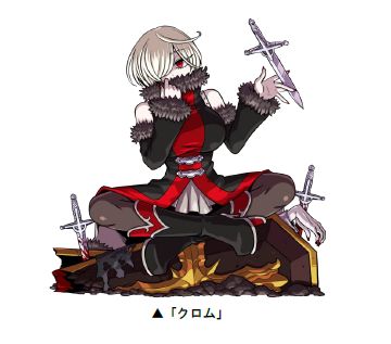 ���������꡼ No.004�Υ���ͥ������ / �֥ɥ饴��ݡ������ס����凉�ڥ������󥸥��֥��롼���˥��γ��פ�����