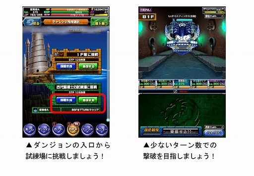 ꡼ No.005Υͥ / ֥ɥ饴ݡס٥ȡ53ǥ奨ޥåפ