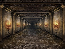 ꡼ No.001 | ֥ɥꥣ ס쥢ԡ֥פǽʿ٥