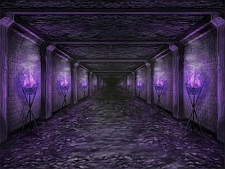 ꡼ No.002 | ֥ɥꥣ ס쥢ԡ֥פǽʿ٥