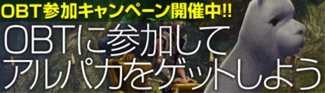 ꡼ No.001Υͥ / BOUNDRAפΥץ¥ƥȤȡüԤˤӥϻ˵襢ƥ֥ѥפץ쥼Ȥŵդ