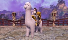 ꡼ No.002Υͥ / BOUNDRAפΥץ¥ƥȤȡüԤˤӥϻ˵襢ƥ֥ѥפץ쥼Ȥŵդ