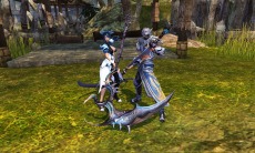 ꡼ No.009Υͥ / BOUNDRAסȡ֥ͥ᥷פ俷ƥ֥žפɲä緿åץǡȤNET CASHڡƱ