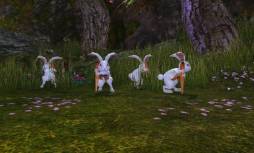 画像ギャラリー No.013のサムネイル画像 / 「BOUNDRA」で本日から期間限定イベント「中秋の名月イベント」が開催に