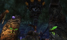 ꡼ No.008Υͥ / BOUNDRAפåץǡȡ٥륭åפ70ˤʤꡤƼ￷ƥĤWebMoneyȤζڡⳫ