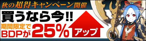 ���������꡼ No.001�Υ���ͥ������ / ��BOUNDRA��BDP�����ۤ�25���ץ쥼��ȡ��������ƥ�֥ڥåȾ����׼���