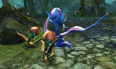 ꡼ No.003Υͥ / BOUNDRAס٥륭åפ80ޤǳ緿åץǡȤƥǥ򶯲褦