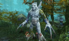 ꡼ No.004Υͥ / BOUNDRAס٥륭åפ80ޤǳ緿åץǡȤƥǥ򶯲褦