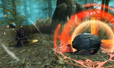 ꡼ No.034Υͥ / BOUNDRAס٥륭åפ80ޤǳ緿åץǡȤƥǥ򶯲褦