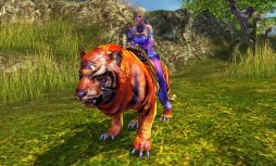 画像集#001のサムネイル/「BOUNDRA」,ペット用新衣装「恐竜ニャコ服」が登場。ニャコ関連の割引も