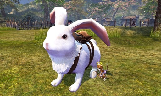 ꡼ No.003 | BOUNDRAץХ󥿥󥤥٥Ȥ򳫺š3ɤΥ˥㥳ãǺߤ褷褦