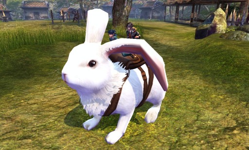 ꡼ No.009 | BOUNDRAץХ󥿥󥤥٥Ȥ򳫺š3ɤΥ˥㥳ãǺߤ褷褦