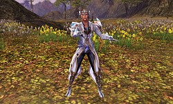 ꡼ No.001Υͥ / BOUNDRAס쥢֥ۥ磻ȥǡʸᥤ٥ȡפ»