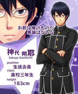 ꡼ No.004Υͥ / SLG䤫ҥߥĤݸפ1225GREEۿ