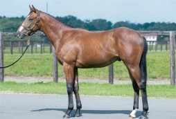 画像集#002のサムネイル/「StarHorse3」競走馬の馬名を募集するキャンペーン第2弾が12月2日に開始