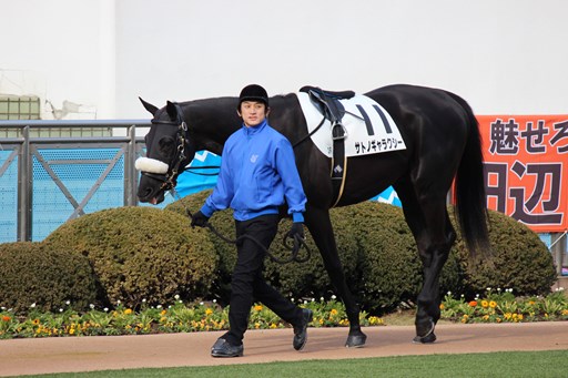 画像ギャラリー No.001のサムネイル画像 / 「StarHorse3」,キャンペーン命名馬「サトノギャラクシー」デビュー戦を飾る