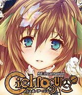 ꡼ No.009 | ˥ᥳƥĥ2013Ȥ֡ŸꡣȽɳ