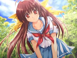 ꡼ No.001Υͥ / ǡּؤι񡢸ξסPS Storeۿ