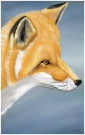 ꡼ No.002 | ڥȥץȤäSHIELD TabletθCOMITIA 111ǳ