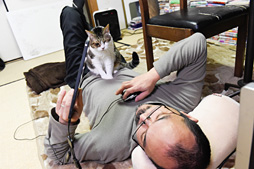 ���������꡼ No.012�Υ���ͥ������ / ������ȥ�� ������뤷���ʤ�������SHIELD Tablet�פ�Ȥä��Ȥ��������ȥ�ƥ���������Ķ��ɤι��ۤ��ܵ��ǹͤ���