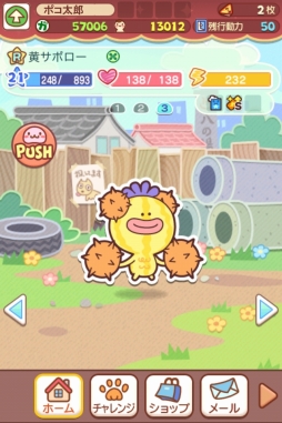 ꡼ No.002 | ֥ݥݥ󥹥סѡѥʤɤʤ£롣31ޤ